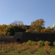 2005-10-28-11-45-34