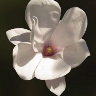 2011-04-21-13-13-42