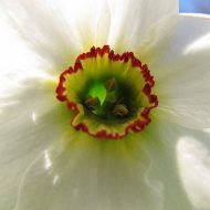 2011-04-26-13-14-45