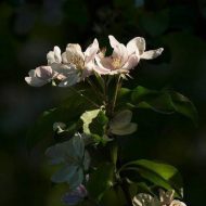 2011-05-09-15-19-18