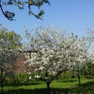 2012-04-28-15-12-54