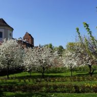 2012-04-28-15-13-40