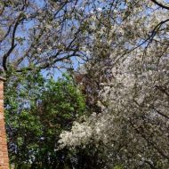 2012-05-01-11-23-49