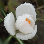 2013-04-12-14-46-42
