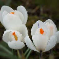 2013-04-12-14-46-57