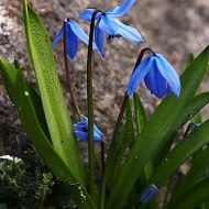2013-04-13-15-35-28