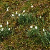 2013-04-13-15-51-0