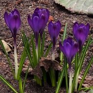 2013-04-13-15-54-00