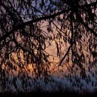 2013-04-13-15-56