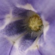 2013-04-23--16-01-53