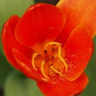 2013-04-23--16-05-27