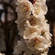 2013-04-26--14-39-54