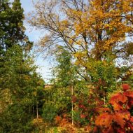 2013-10-14-14-27-48