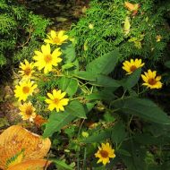 2013-10-14-14-55-04