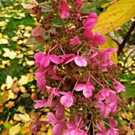 2013-10-14-15-00-45