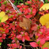 2013-10-14-15-03-16