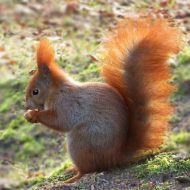 2014-11-28--08-30-22