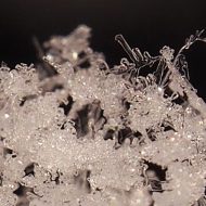 2014-12-26--10-53-32a