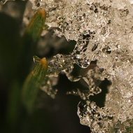 2014-12-26--11-08-48