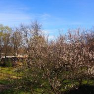 2015-04-12--14-42-37.JPG