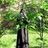 2015-07-07--18-32-54