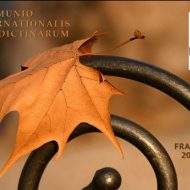 2015-10-20--19-43-31