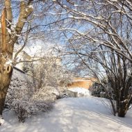2016-01-16--10-03-01