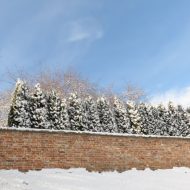 2016-01-16--10-07-13