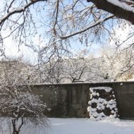 2016-01-16--10-19-48