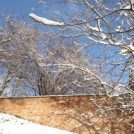 2016-01-16--10-21-16