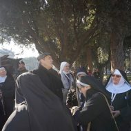 2016-02-02--10-07-30